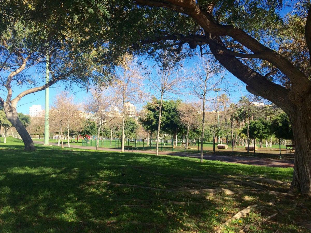 Apartamento Primavera Las Palmas de Gran Canaria Exteriör bild